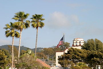 Image showing Palm Tree Flag