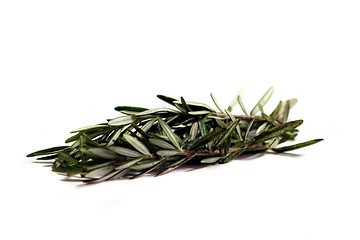 Image showing Rosemary