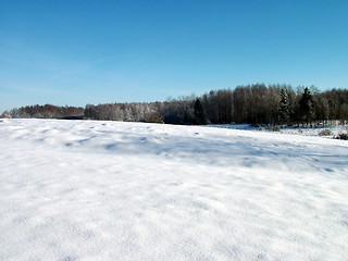Image showing Winter landscape 7