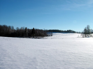 Image showing Winter landscape 6