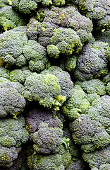 Image showing Broccoli calabrese