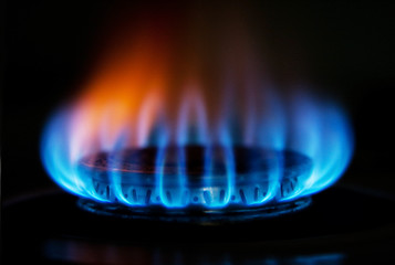 Image showing Stove gas fire flame