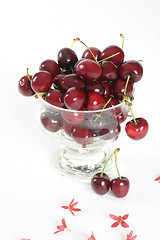 Image showing Cherries