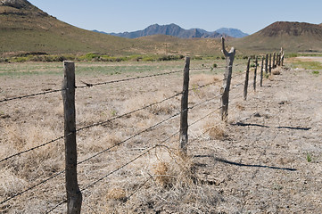 Image showing Barbed wire