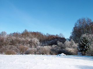 Image showing Winter landscape 5