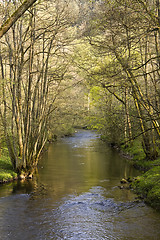 Image showing River