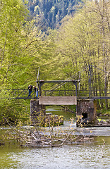 Image showing Old Weir