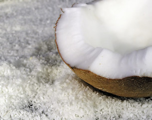 Image showing coconut