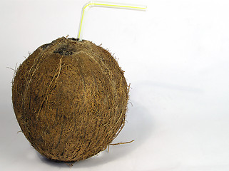 Image showing Coconut drink