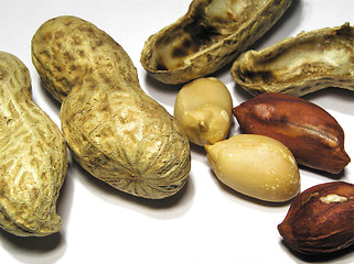 Image showing Monkeynut