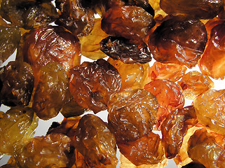 Image showing Raisin