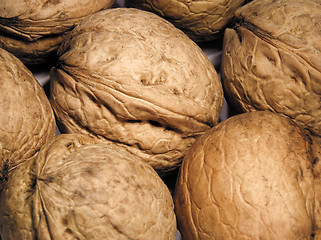 Image showing Walnut