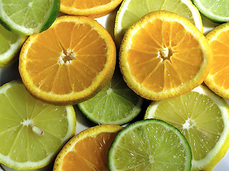 Image showing Citruses