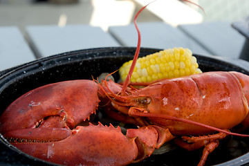 Image showing Boiled lobster