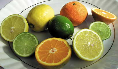 Image showing Citrus