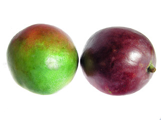 Image showing mango