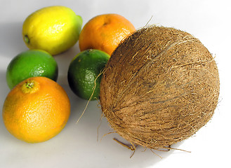 Image showing Fruits