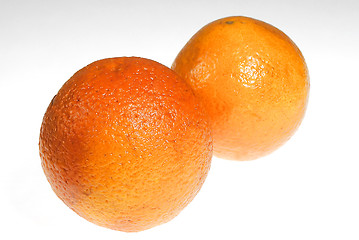 Image showing Orange