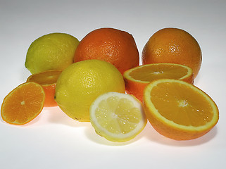 Image showing citruses