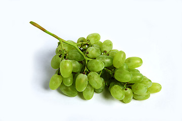 Image showing Bullace grape