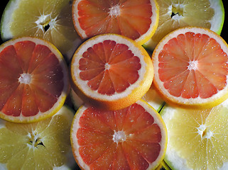 Image showing Citruses slice