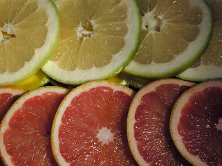 Image showing Grapefruit