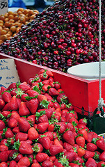 Image showing Mixed fruits at street market