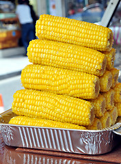 Image showing Corn cobs