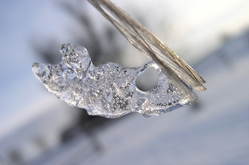 Image showing A Piece of Ice