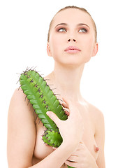 Image showing cactus