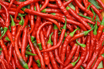 Image showing Red hot chili peppers