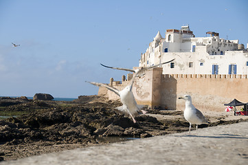 Image showing ramparts old city essaouira morocco