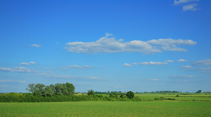 Image showing beautiful summer landscape