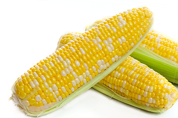 Image showing Fresh harvest corn