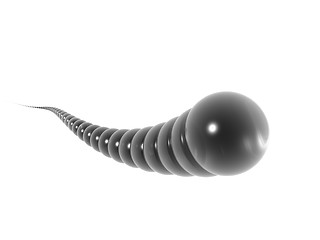 Image showing ball snake