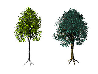 Image showing trees