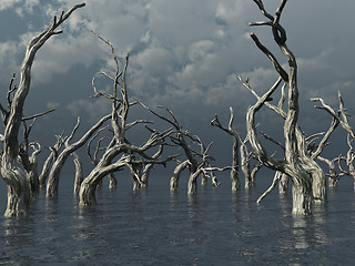 Image showing dead trees