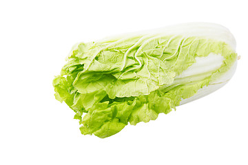 Image showing Brassica pekinensis