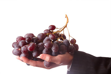 Image showing Hand with grape