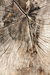 Image showing Wood background