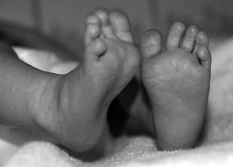 Image showing Baby feet