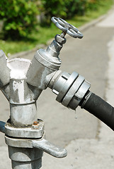 Image showing Hydrant