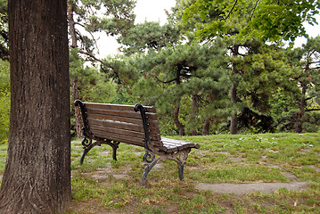 Image showing Wooden bench in park