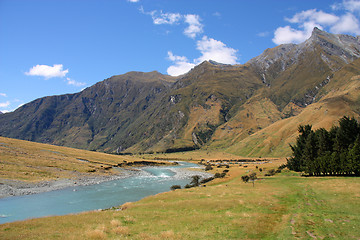 Image showing Mt Aspiring National Park