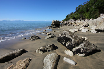 Image showing New Zealand beach