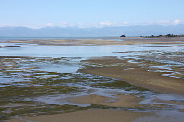 Image showing Wetlands