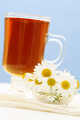 Image showing camomille tea