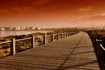 Image showing Orange beach