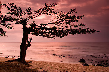 Image showing Equator Beach