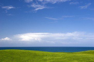 Image showing Green Meadow